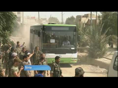Vídeo: Os Caroços De Damasco Comem E Como Eles São úteis?