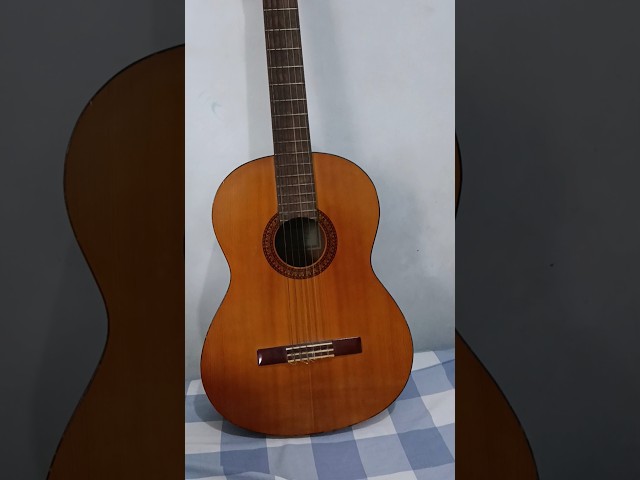 YAMAHA C315 GITAR AKUSTIK #shorts #classicguitar  #yamahaguitar class=