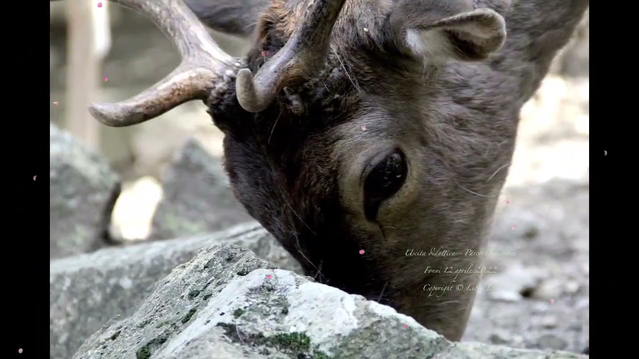 LIDIA LAI : USCITA DIDATTICA FONNI 12 APRILE 2022