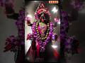 Joy ma kali 🌺🌺 #kalipuja #kalipujabhasani #durgapuja #maakali #joymaakali #shorts #hindumantra #maa