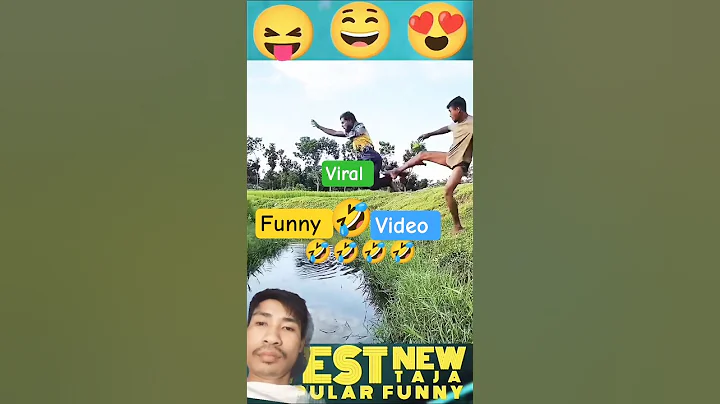 Video 11776191: funny animals funniest cats, funny cat best funniest, clean funny cat