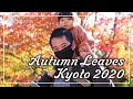 [Arashiyama Kyoto Autumn 2020] Hogon-in / Tenryu-ji / Sagano Romantic Train -Family Vlog #007-