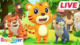 【LIVE】BabyTiger Top Songs for kids🎵 | Good Morning Songs,Hickory Dickory Dock | Kids Cartoon