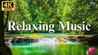 Relaxing Music | Sleep Music | Meditation Music | Calming Music | Piano Music | Soothing Universe