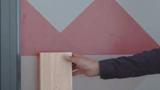 Anson DF30 Fingerprint Access Control and Time attendance