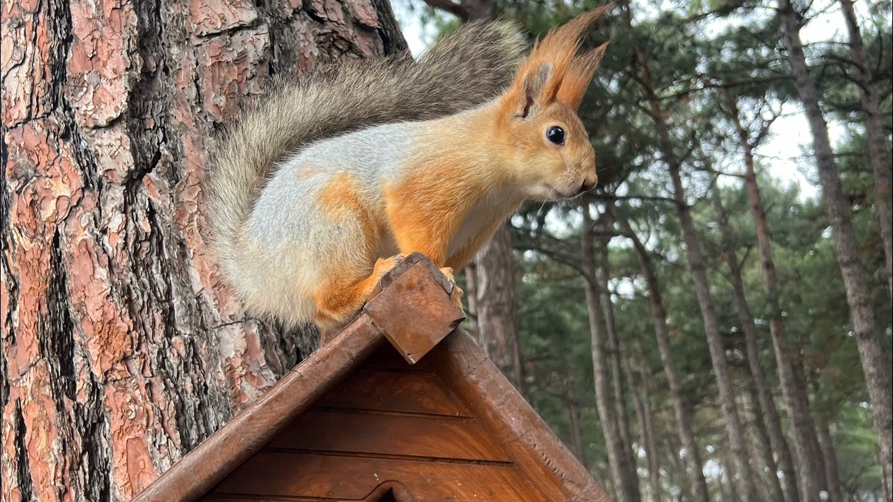 ✨ОТДЫХ ПРОДОЛЖАЕТСЯ✨ВЛОГ-3✨