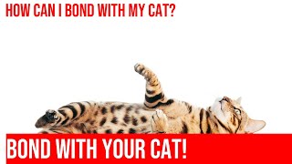 Building a Strong Bond with Your Cat: Tips & Tricks by Meow-sical America 46 views 5 months ago 4 minutes, 39 seconds