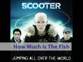 Scooter How Much Is The Fish Scooter How Much Is The Fish