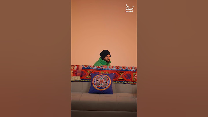هقولك تلحق نفسك إزاي لو بوظت الدايت في رمضان 🌙...#دايت_رمضان #رمضان_صحي #اكسبلور