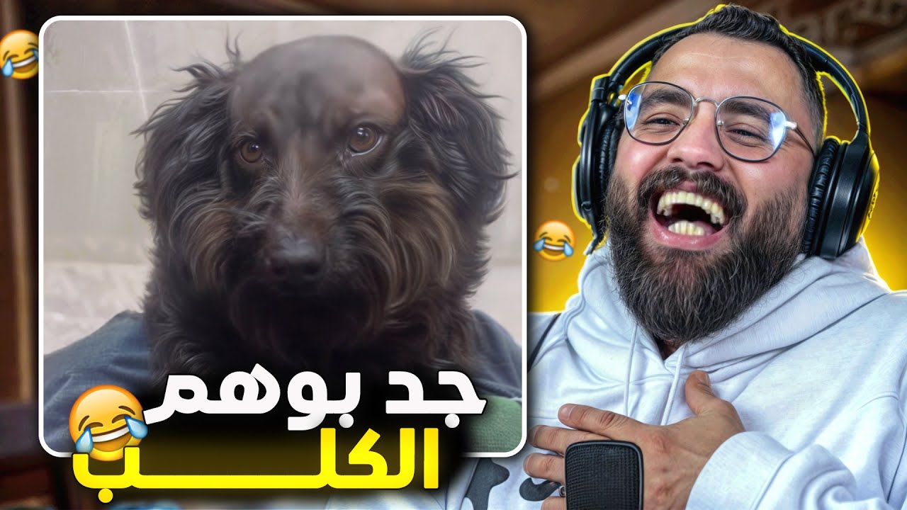لي عمرو شاف جد بوهم الكلب ها هوا 🤣😂