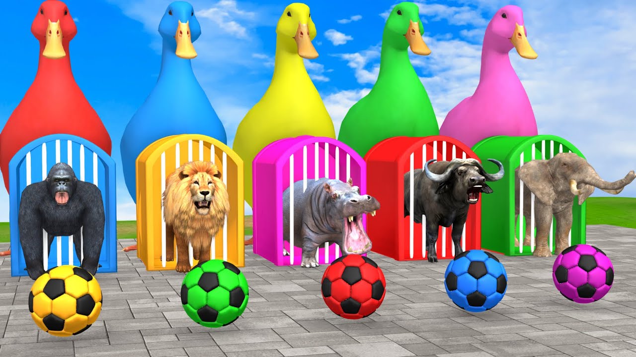 Long Slide Game With Cow Elephant Gorilla Hippopotamus Tiger - 3d Animal Game - Funny 3d Animals