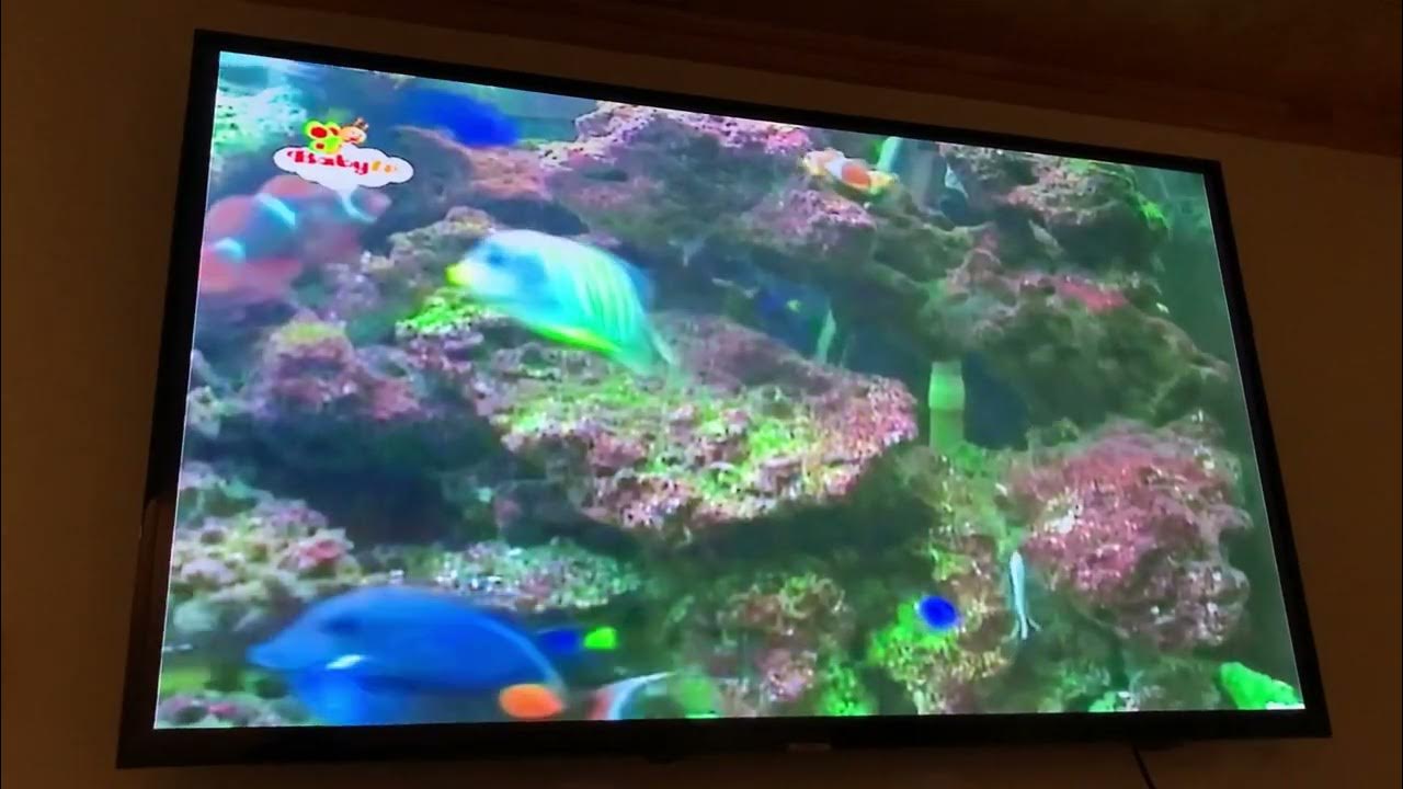 Baby tv Sweet Dreams YouTube