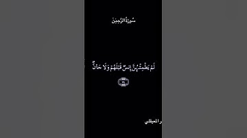 تلاوة عطرة من سورة الرحمن بصوت الشيخ ماهر المعيقلي
