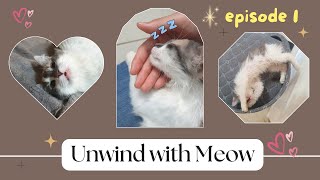 Unwind with Meow (ep. 1)