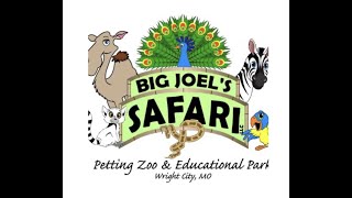 Big Joel’s Safari