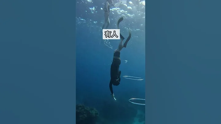 Five bubble rings Five people. 甘单啦 #freediving #magic #sea #自由潜水 #绿岛 - 天天要闻