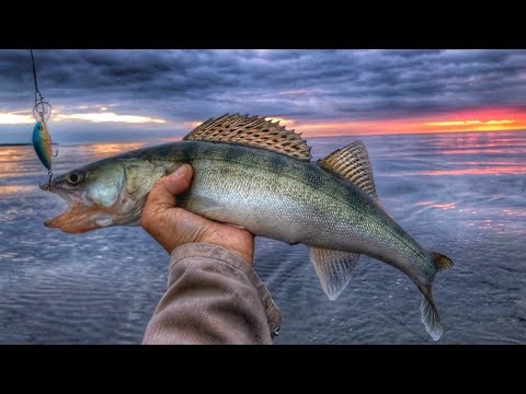 Отличная рыбалка на Финском заливе | Как правильно коптить рыбу