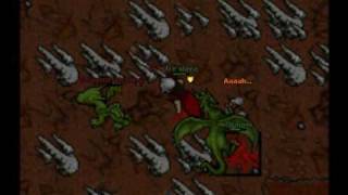 Famous Tibia Calmera Hero and Dragons Net Worth