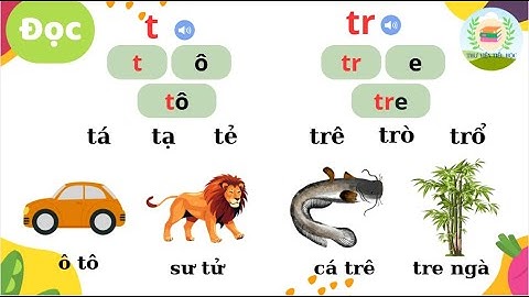 Bài 22:  T vàTr | Tiếng Việt lớp 1| Sách Kết nối  | Học âm T, Tr – Luyện đọc, viết, nói.