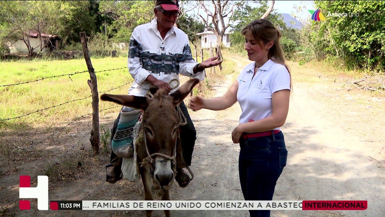 El Otro México: Jala Colima donde quieren rescatar al burro - YouTube