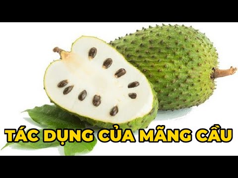 Video: Quả cầu có ăn được không?