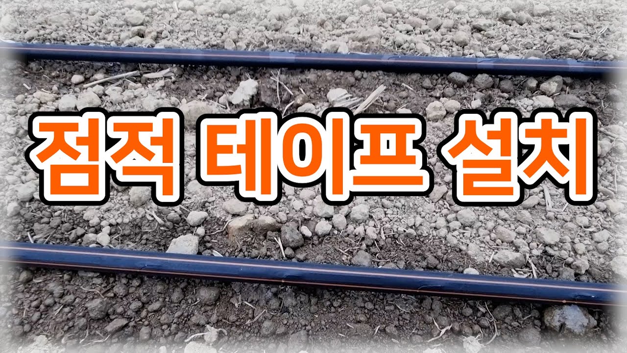 [고추] 처음으로 점적 테이프를 설치해봤습니다! / 하우스 고추 농사 준비 - 농사일기