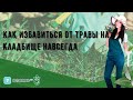 Как избавиться от травы на кладбище навсегда