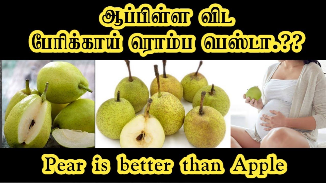 Benifits of Pear Fruit in Tamil l Vinoth Tech Tamil YouTube