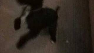 Blakes Memorial Video