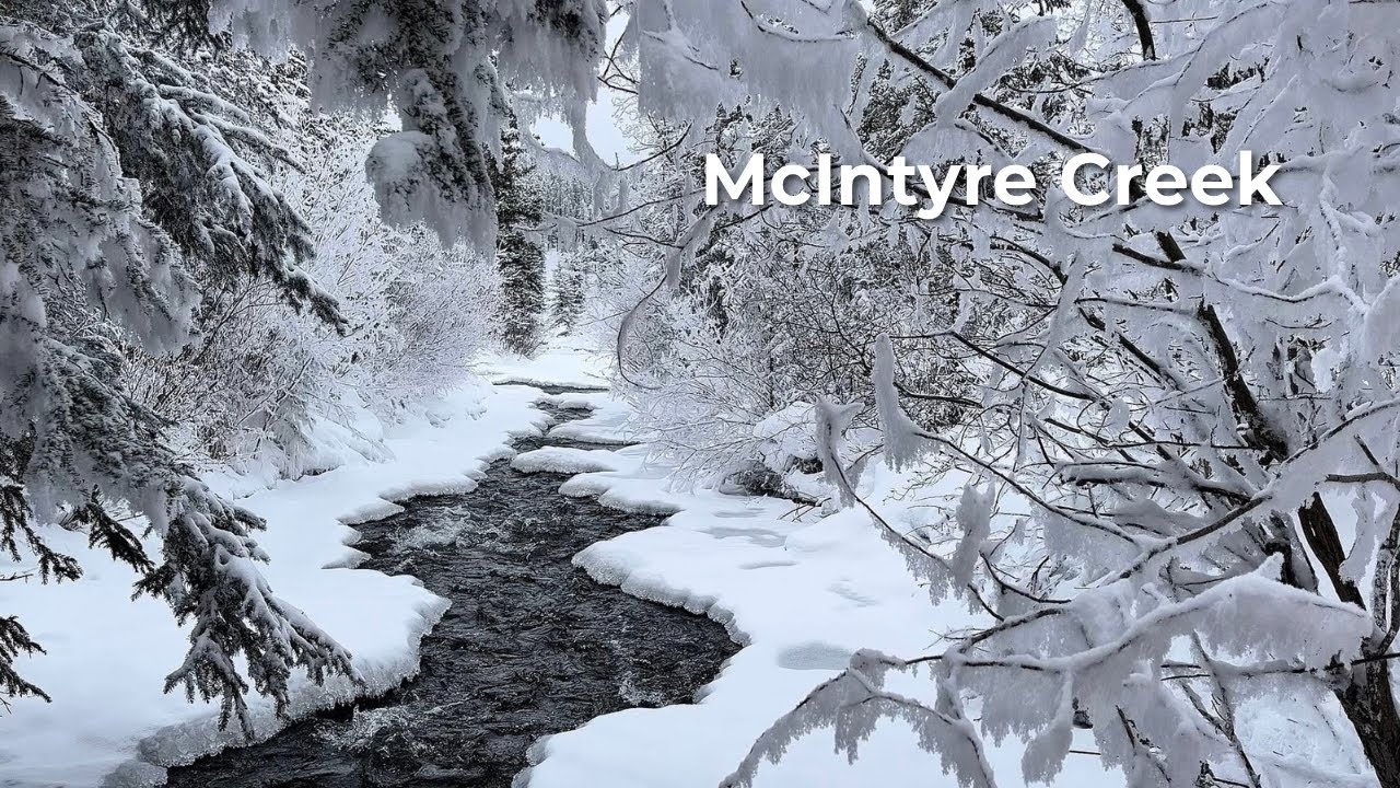 Icy White Dreamscape: A Still Yukon Stream Ambience — 2 Hour Deep Winter Creek Sound