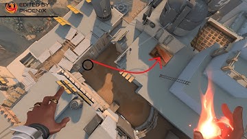 Phoenix Molly Line-ups on Bind