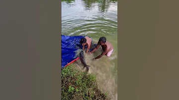 Fishing Reels Viralvideo Bangladesh Shorts Comedy 