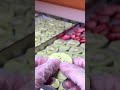 تجفيف الفواكه المقرمشة Food Foryou اكسبلور ترند تجفيف الفواكه المقرمشة Food Foryou اكسبلور ترند
