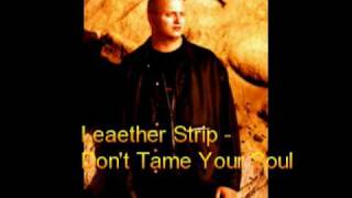 Leaether Strip - Don't Tame Your Soul