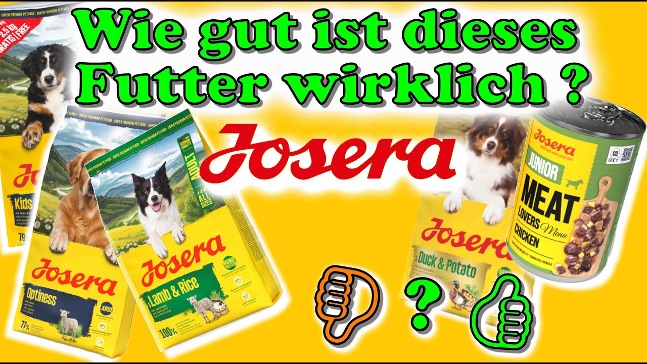 gps halsbänder für katzen 4G GPS Haustier-Tracker Halsband für Katze Hund Ohne Abonnement –  VerdantTrace Official Store