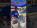 Nasi Kerabu Pok Din.. Diantara yg Terbaik dekat Melaka