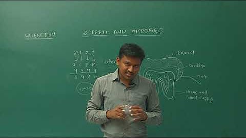 TEETH AND MICROBES | SCIENCE | CLASS 4 | CHAPTER 2