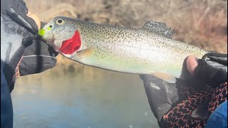 Trout fishing an icy blue river # trout fishing Oklahoma