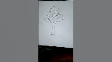 How to draw easy tree 🎄 #tree #drawing #shortsvideo #creativeart #art #draw #tree #easy #drawing