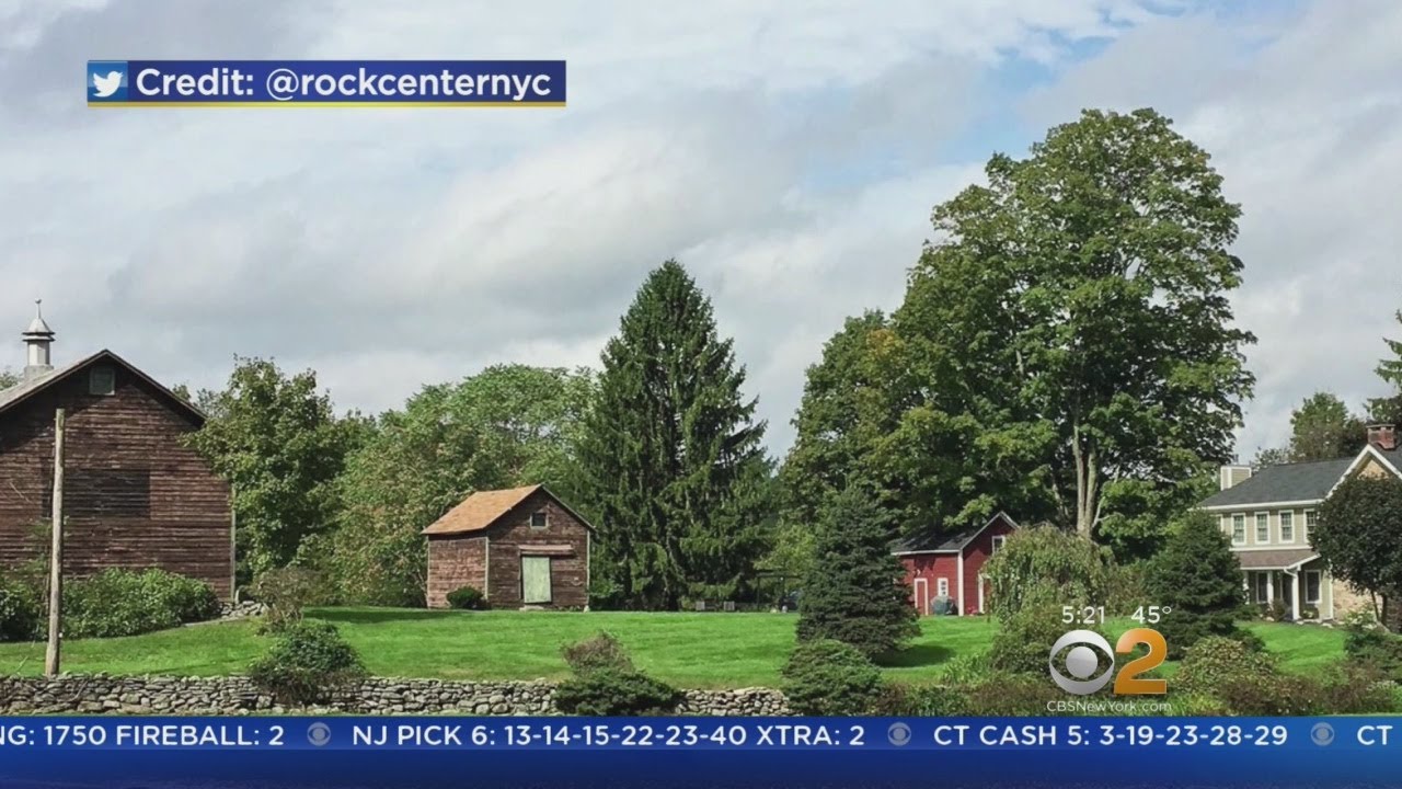 Rockefeller Christmas Tree Picked For 2018