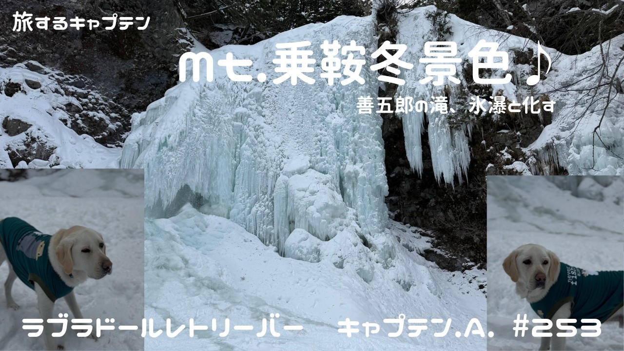 #253 『Mt.乗鞍冬景色 2 』ラブラドールレトリバー　キャプテン