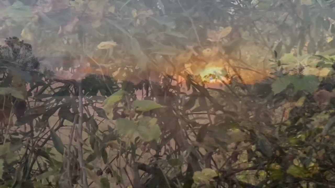 Deer hunting Oct 5th 