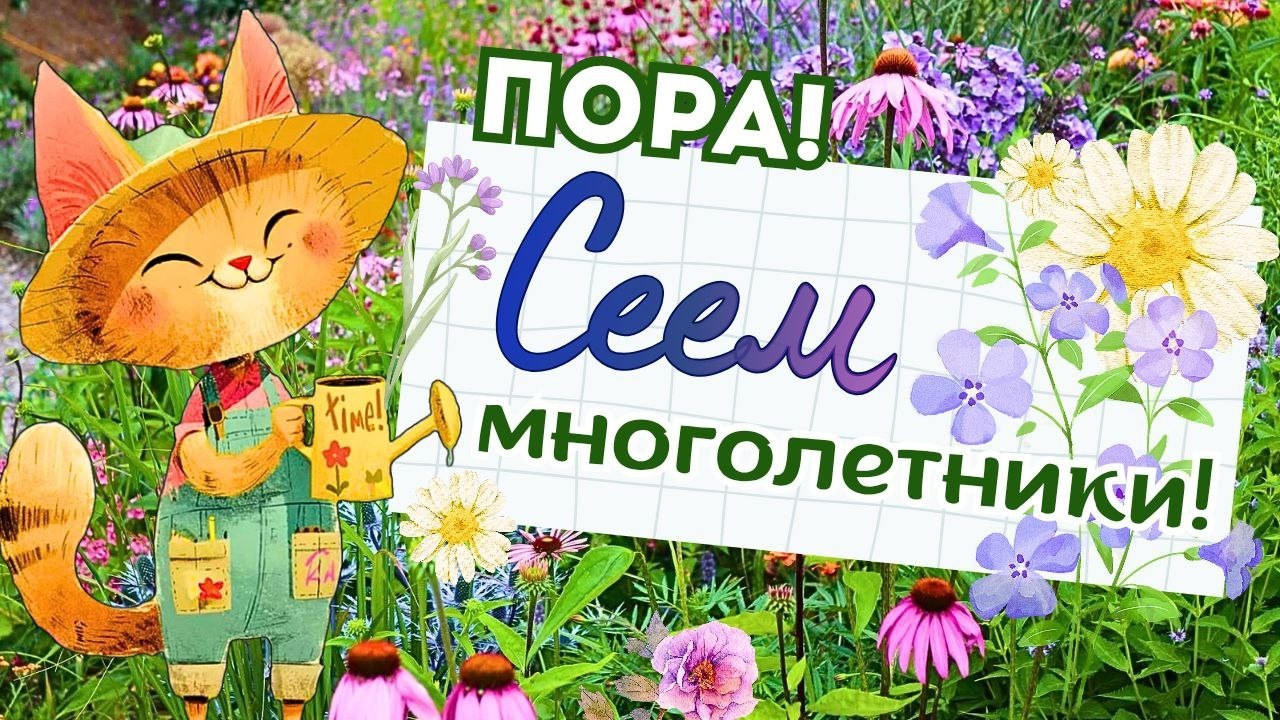 Как вырастить многолетники для сада из семян? Секреты посева и ухода. Успешный опыт. Обзор сортов.