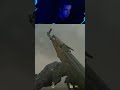 Oque acontece quando você realmente presta atenção #csgo #counterstrike #clipsdegames