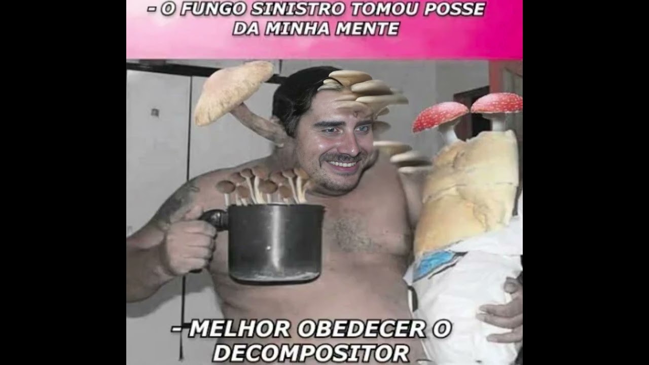 洋楽 O Que E Repentismo O Fungo Sinistro - ???? OST - YouTube