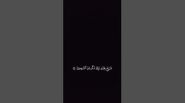قران كريم راحه نفسيه تلاوة عطرة