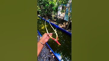 Ghe ngo điên điển lò bảy gà #ghengodiendien