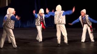 Հայկական պար Dance group 