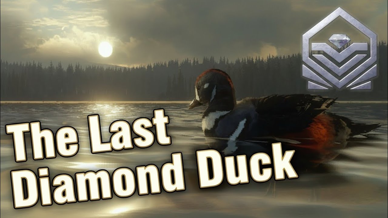 We Got Every Diamond Duck in COTW - YouTube