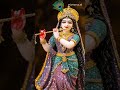 Jap le Radha Radha #bhaktisong #shyamjibhakti #shyamkripa #radheshyam